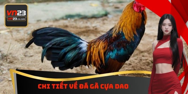 Đá Gà Cựa Dao VN23 - Chiến Trường Đẫm Máu Dành Cho Hội Viên 2 Chi tiết về đá gà cựa dao