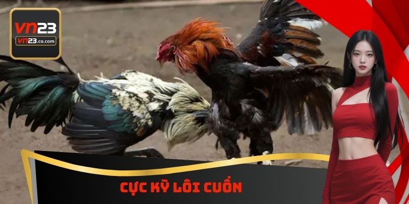 Đá Gà Cựa Dao VN23 - Chiến Trường Đẫm Máu Dành Cho Hội Viên 3 Cực kỳ lôi cuốn