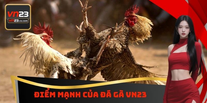 Điểm mạnh của đá gà VN23