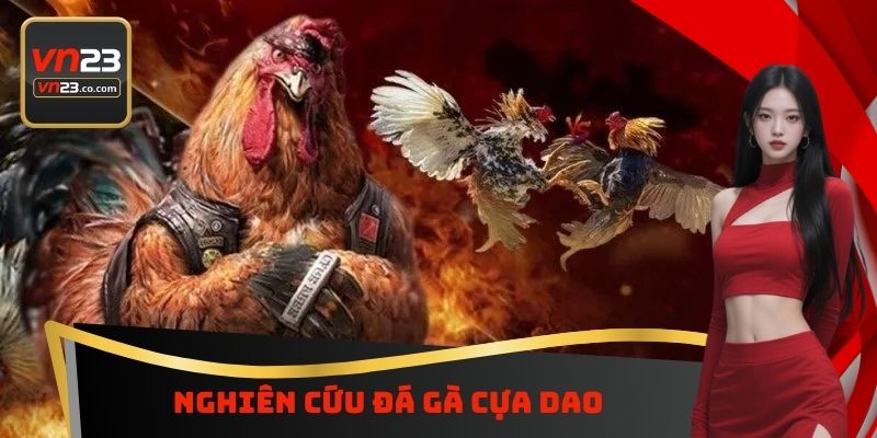 Đá Gà Cựa Dao VN23 - Chiến Trường Đẫm Máu Dành Cho Hội Viên 5 Nghiên cứu đá gà cựa dao
